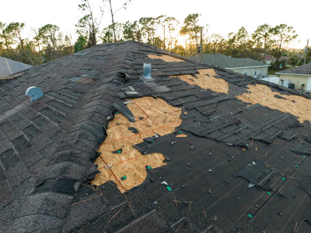 Best Commercial Roofing Services  in Allen Park, MI
