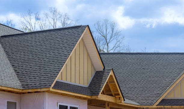 Best Metal Roofing Installation  in Allen Park, MI