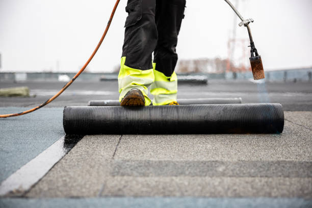 Best Asphalt Shingle Roofing  in Allen Park, MI