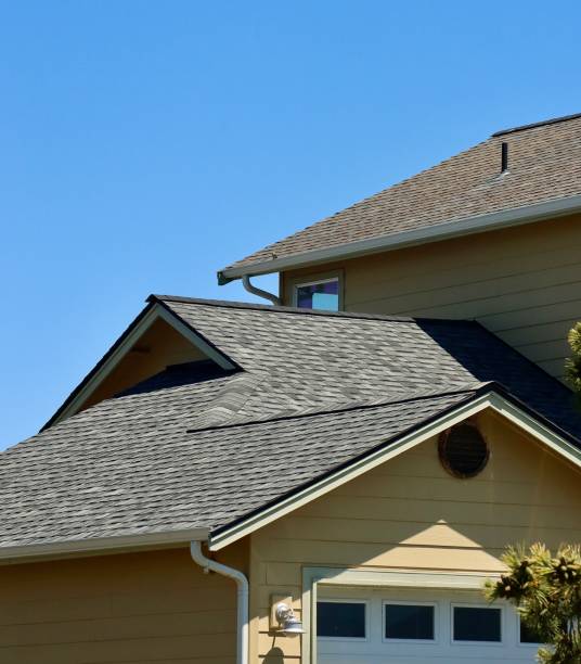 Best Storm Damage Roof Repair  in Allen Park, MI
